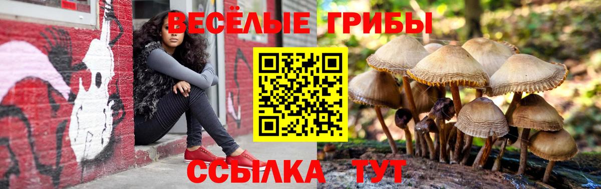 Галлюциногенные грибы мухоморы Камень-на-Оби