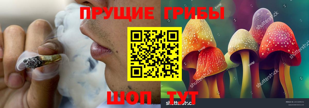Камень-на-Оби  Псилоцибиновые грибы ЛСД  Вход с VPN  Галлюциногенные грибы MAGIC MUSHROOMS 