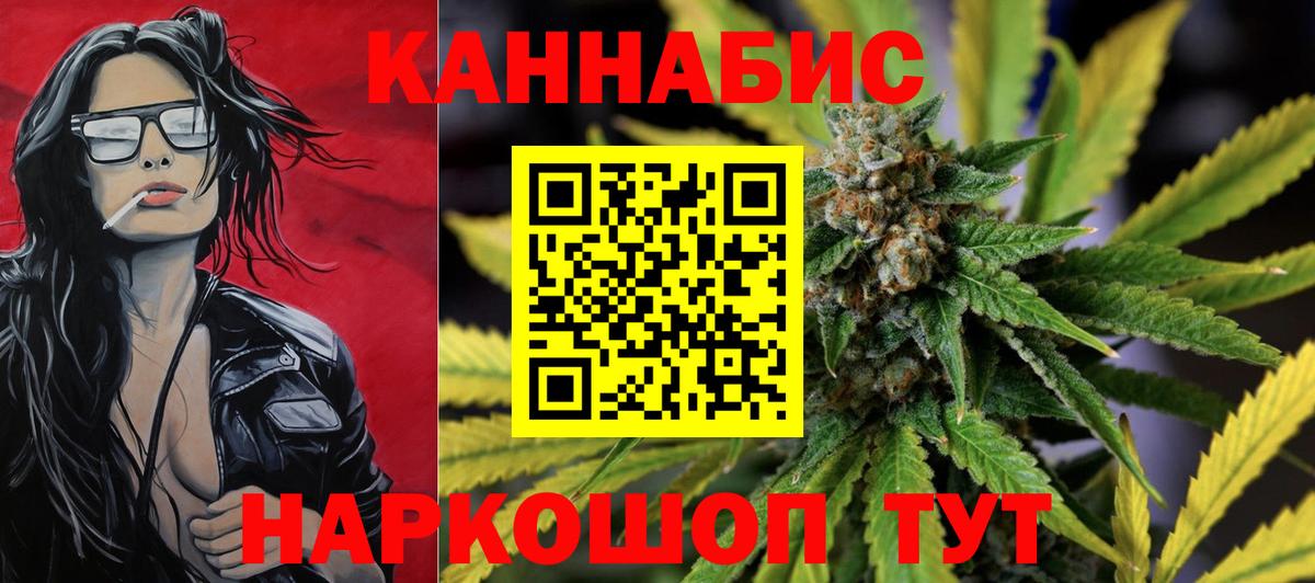 Конопля гибрид Камень-на-Оби